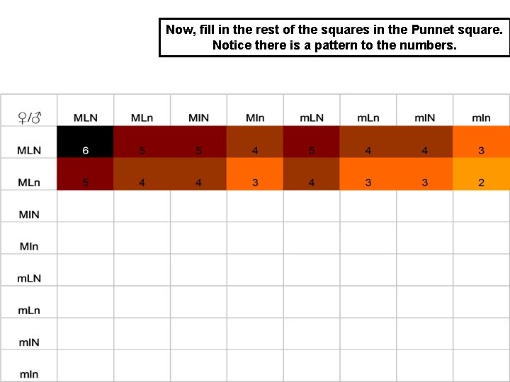 Now, fill in the rest of the squares in the Punnet square. Notice there