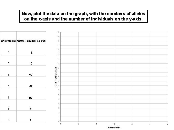 Now, plot the data on the graph, with the numbers of alleles on the