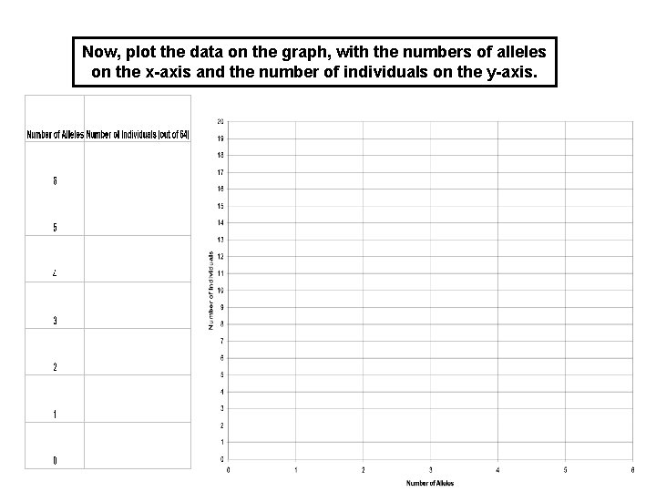 Now, plot the data on the graph, with the numbers of alleles on the