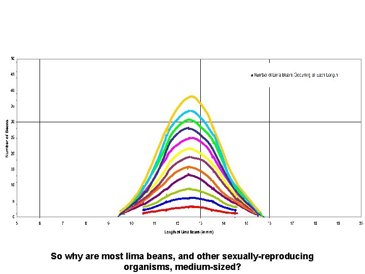 Section 15 -1 So why are most lima beans, and other sexually-reproducing organisms, medium-sized?