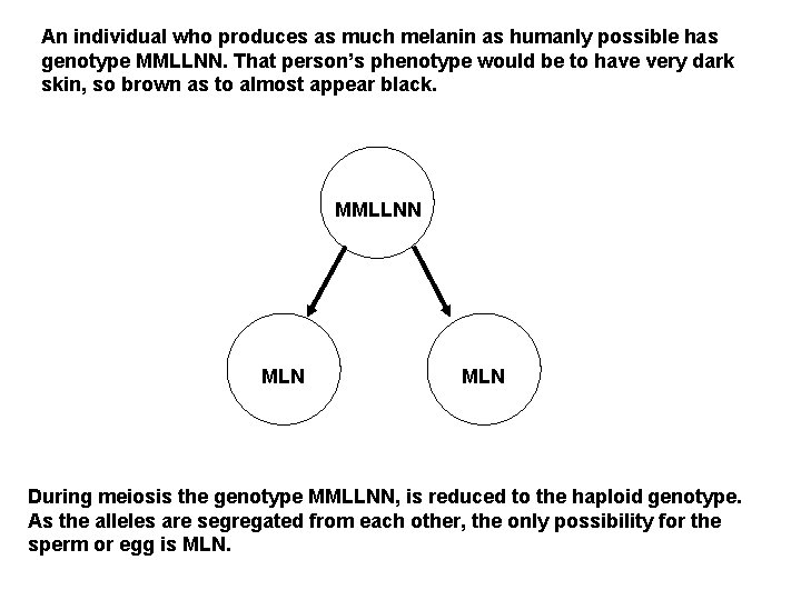 An individual who produces as much melanin as humanly possible has genotype MMLLNN. That