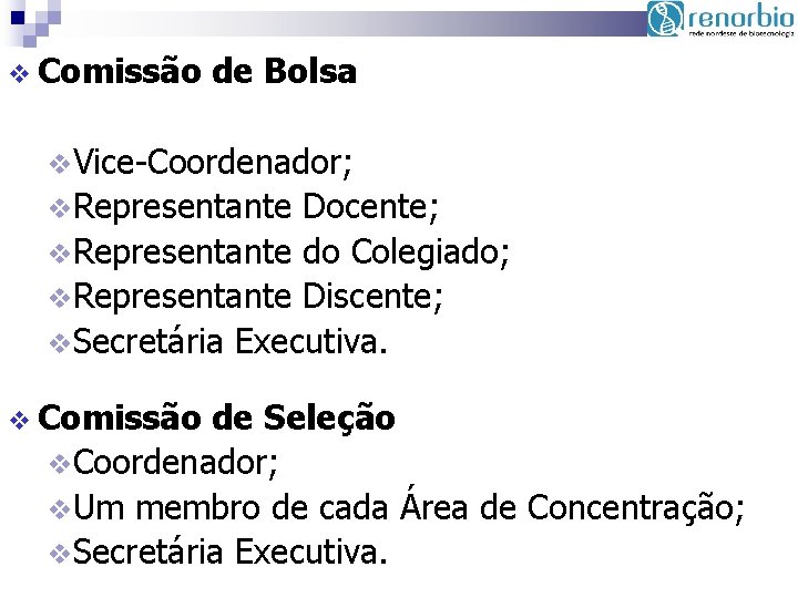 v Comissão de Bolsa v. Vice-Coordenador; v. Representante Docente; v. Representante do Colegiado; v.