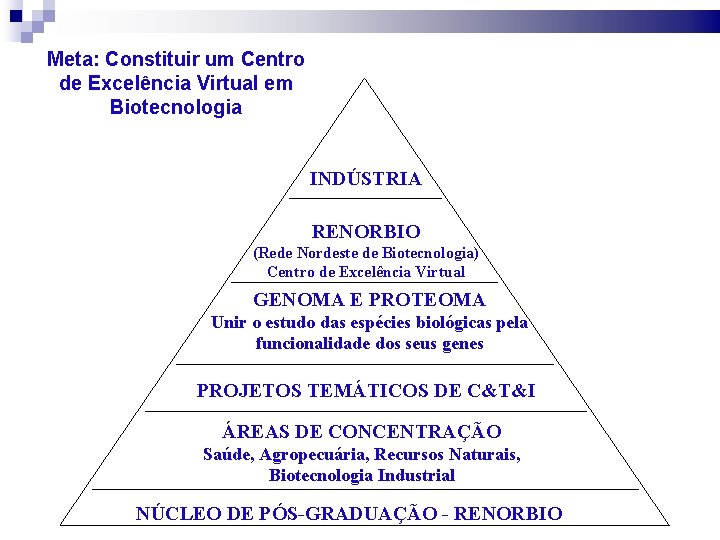 Meta: Constituir um Centro de Excelência Virtual em Biotecnologia INDÚSTRIA RENORBIO (Rede Nordeste de