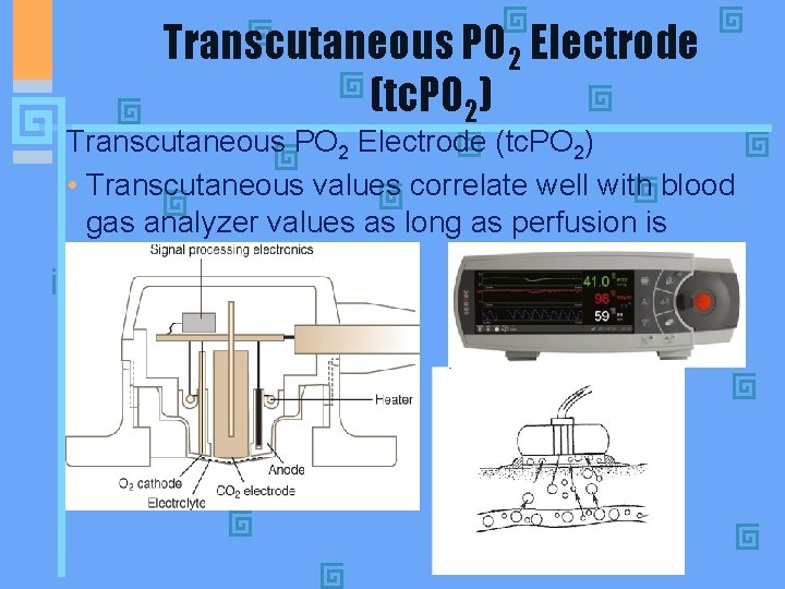 Transcutaneous PO 2 Electrode (tc. PO 2) • Transcutaneous values correlate well with blood