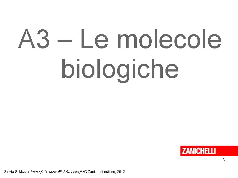 A 3 – Le molecole biologiche 3 Sylvia S. Mader Immagini e concetti della