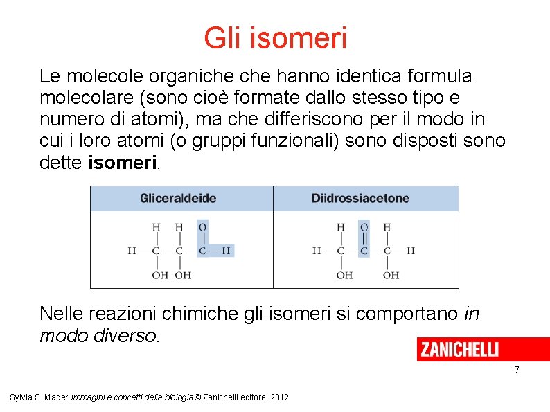 Gli isomeri Le molecole organiche hanno identica formula molecolare (sono cioè formate dallo stesso