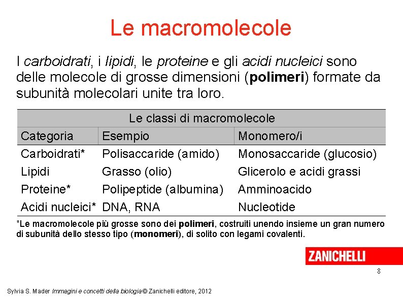 Le macromolecole I carboidrati, i lipidi, le proteine e gli acidi nucleici sono delle