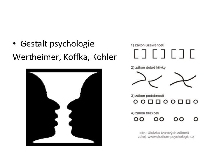  • Gestalt psychologie Wertheimer, Koffka, Kohler 