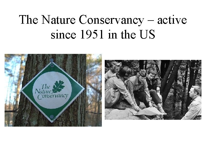The Nature Conservancy – active since 1951 in the US 