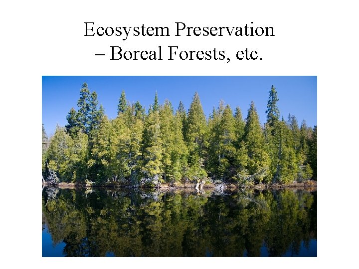 Ecosystem Preservation – Boreal Forests, etc. 