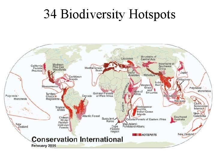 34 Biodiversity Hotspots 
