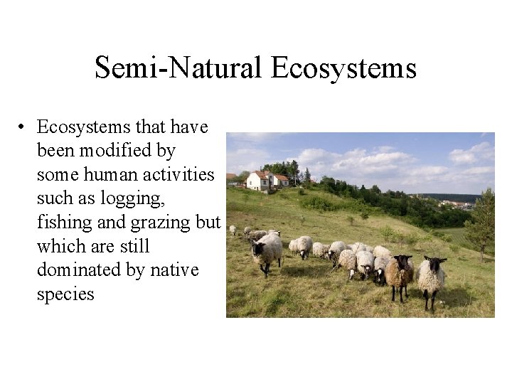 Semi-Natural Ecosystems • Ecosystems that have been modified by some human activities such as