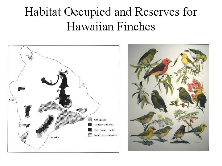 Habitat Occupied and Reserves for Hawaiian Finches 