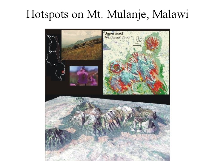 Hotspots on Mt. Mulanje, Malawi 