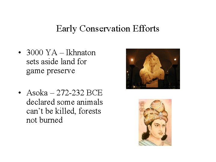 Early Conservation Efforts • 3000 YA – Ikhnaton sets aside land for game preserve