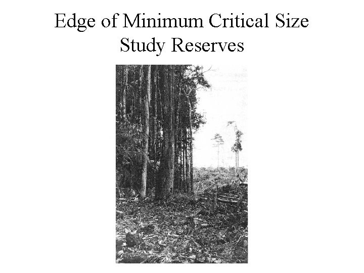 Edge of Minimum Critical Size Study Reserves 