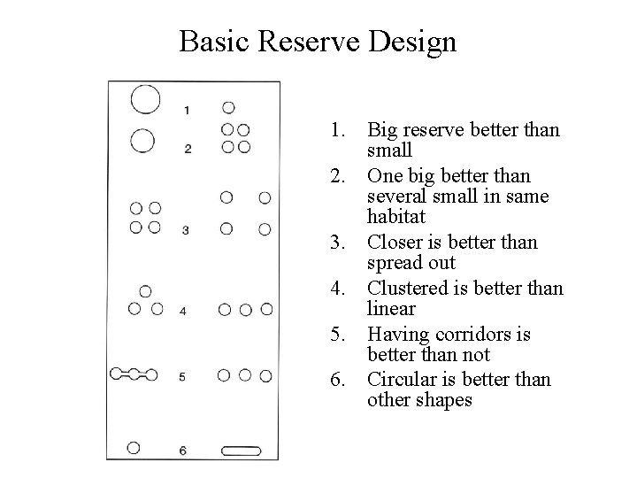 Basic Reserve Design 1. Big reserve better than small 2. One big better than