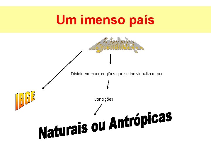 Um imenso país Dividir em macroregiões que se individualizem por Condições 