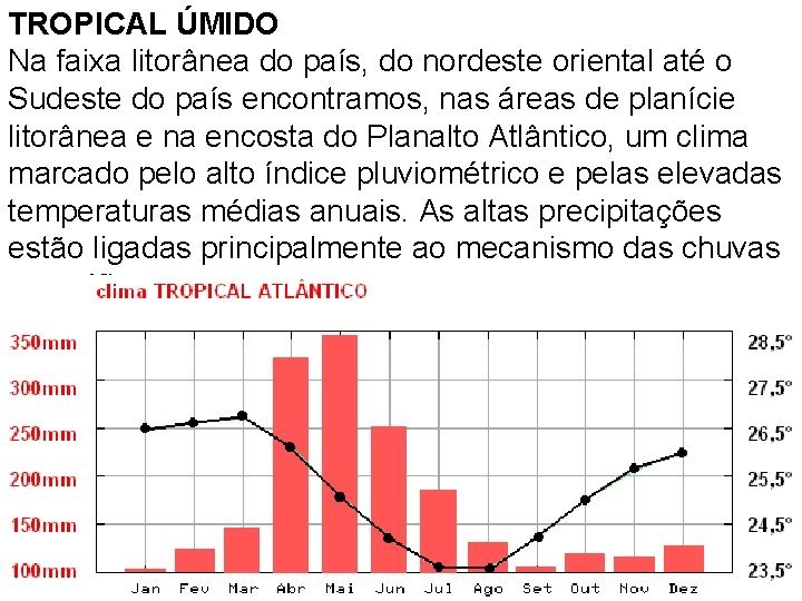 TROPICAL ÚMIDO Na faixa litorânea do país, do nordeste oriental até o Sudeste do