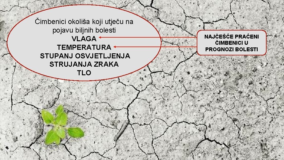 Čimbenici okoliša koji utječu na pojavu biljnih bolesti VLAGA TEMPERATURA STUPANJ OSVJETLJENJA STRUJANJA ZRAKA