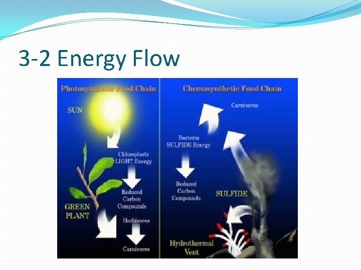3 -2 Energy Flow 