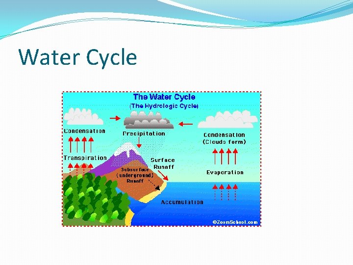 Water Cycle 
