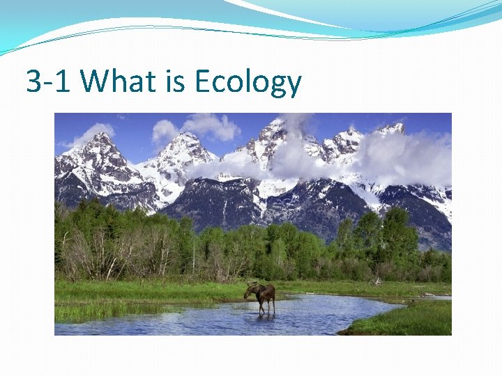 3 -1 What is Ecology 