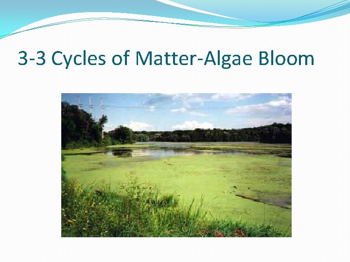 3 -3 Cycles of Matter-Algae Bloom 