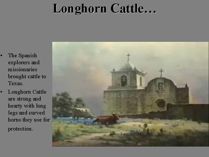 Longhorn Cattle… • The Spanish explorers and missionaries brought cattle to Texas. • Longhorn