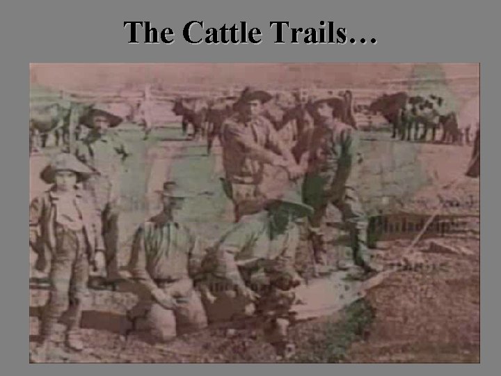 The Cattle Trails… 