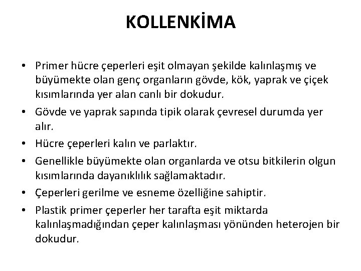 KOLLENKİMA • Primer hücre çeperleri eşit olmayan şekilde kalınlaşmış ve büyümekte olan genç organların