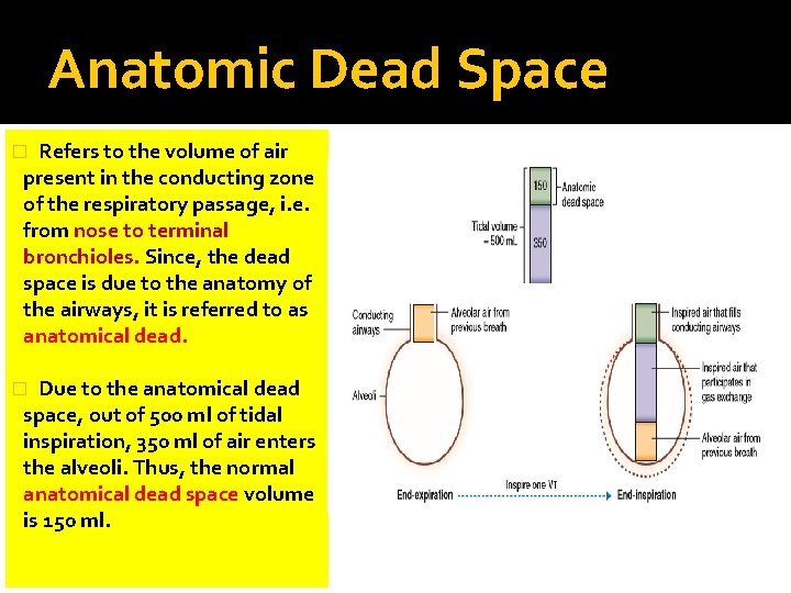 Anatomic Dead Space Refers to the volume of air present in the conducting zone