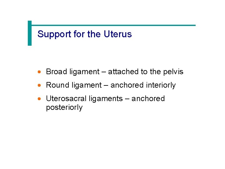 Support for the Uterus · Broad ligament – attached to the pelvis · Round