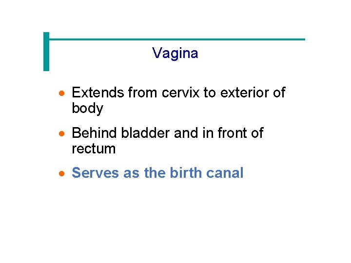 Vagina · Extends from cervix to exterior of body · Behind bladder and in