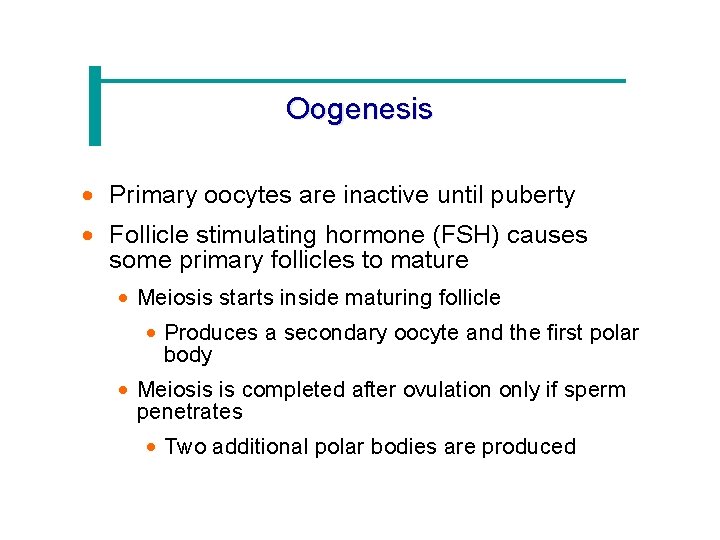 Oogenesis · Primary oocytes are inactive until puberty · Follicle stimulating hormone (FSH) causes