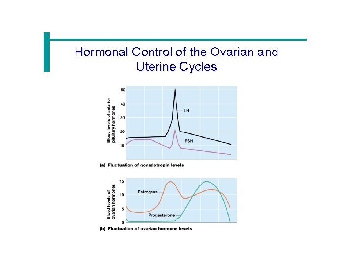 Hormonal Control of the Ovarian and Uterine Cycles 