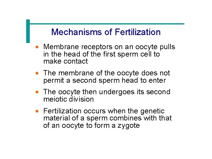 Mechanisms of Fertilization · Membrane receptors on an oocyte pulls in the head of