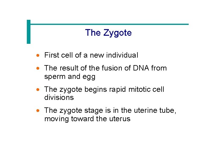 The Zygote · First cell of a new individual · The result of the