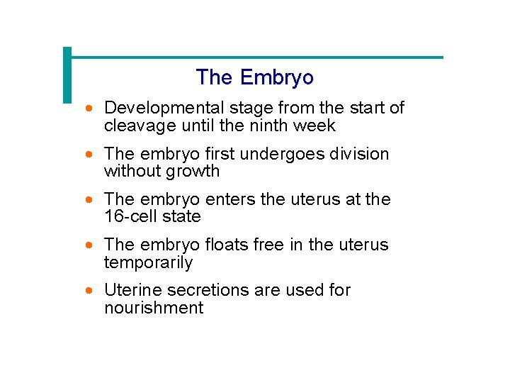 The Embryo · Developmental stage from the start of cleavage until the ninth week