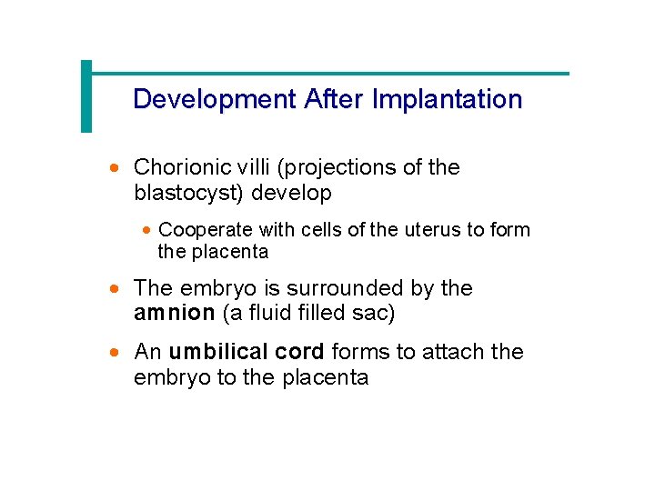 Development After Implantation · Chorionic villi (projections of the blastocyst) develop · Cooperate with