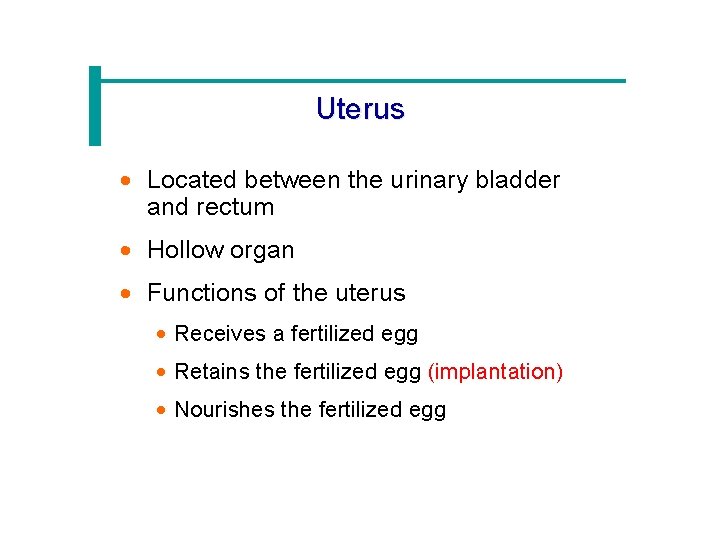 Uterus · Located between the urinary bladder and rectum · Hollow organ · Functions