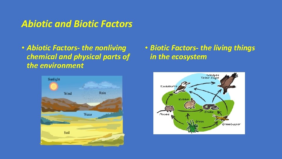 Abiotic and Biotic Factors • Abiotic Factors- the nonliving chemical and physical parts of