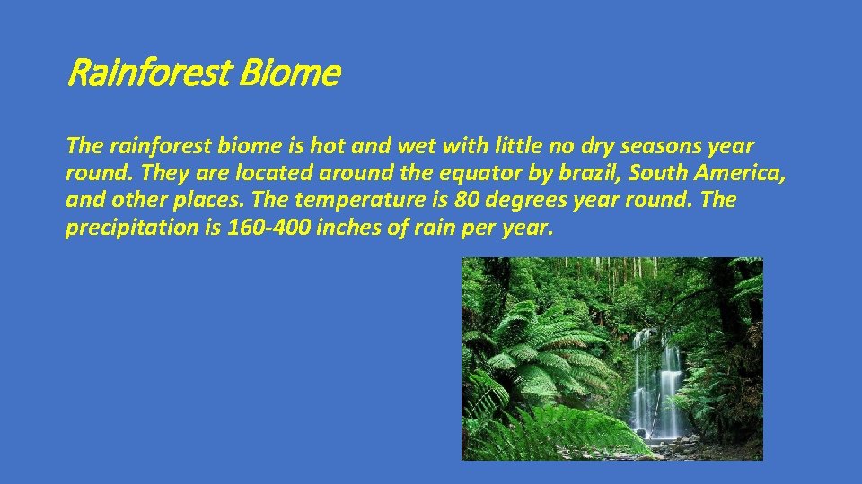 Rainforest Biome The rainforest biome is hot and wet with little no dry seasons