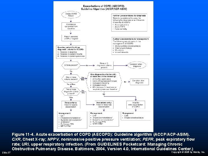 Figure 11 -4. Acute exacerbation of COPD (AECOPD): Guideline algorithm (ACCP/ACP-ASIM). CXR, Chest X-ray;