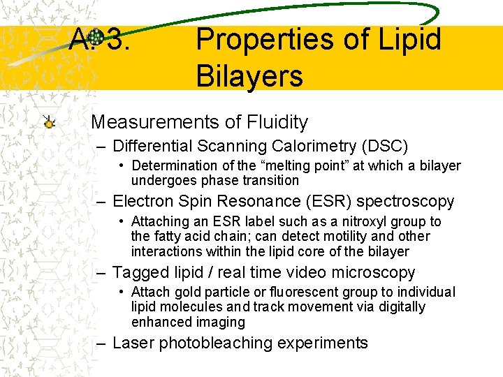 A. 3. Properties of Lipid Bilayers Measurements of Fluidity – Differential Scanning Calorimetry (DSC)