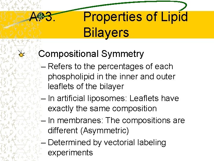 A. 3. Properties of Lipid Bilayers Compositional Symmetry – Refers to the percentages of