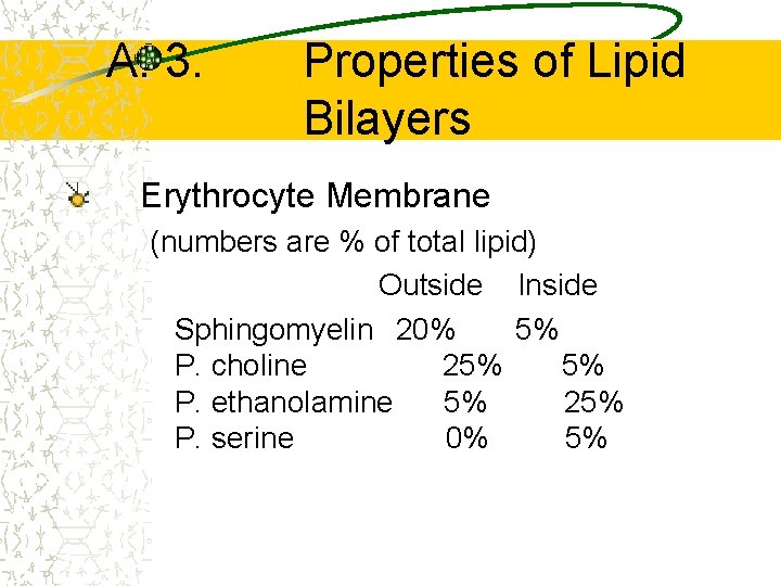 A. 3. Properties of Lipid Bilayers Erythrocyte Membrane (numbers are % of total lipid)