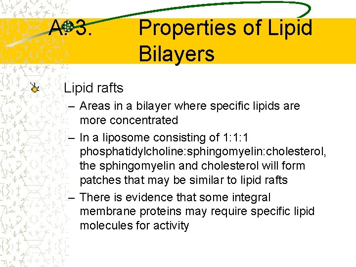 A. 3. Properties of Lipid Bilayers Lipid rafts – Areas in a bilayer where