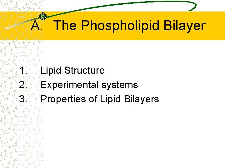 A. The Phospholipid Bilayer 1. 2. 3. Lipid Structure Experimental systems Properties of Lipid