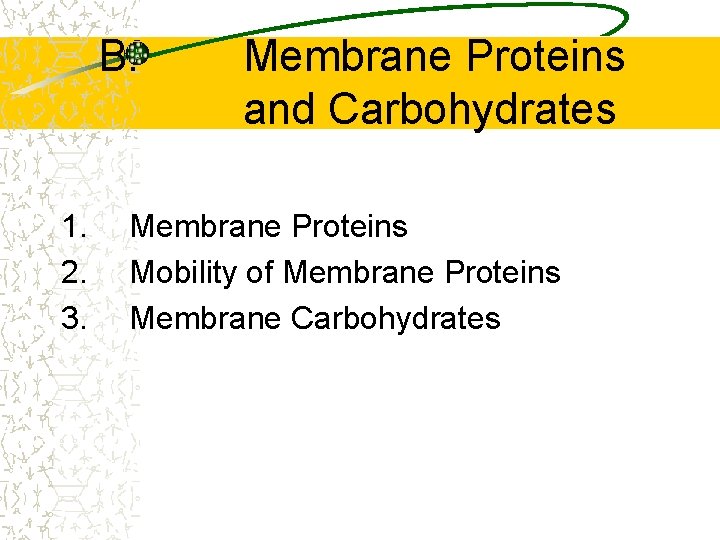 B. 1. 2. 3. Membrane Proteins and Carbohydrates Membrane Proteins Mobility of Membrane Proteins